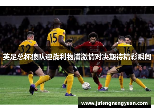 英足总杯狼队迎战利物浦激情对决期待精彩瞬间